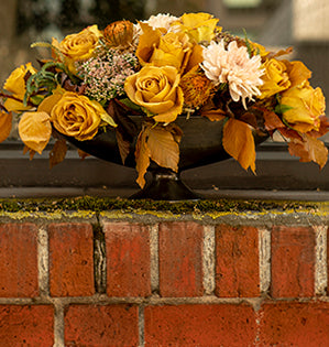 A classic oval centerpiece in a metal compote combines Heart of Gold roses, copper banksia, sedum, peach toned chrysanthemums and preserved beech leaves.