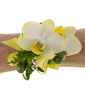 A wrist wearing a corsage starring white and yellow Phalaenopsis orchids with Oregonia, camilla, and juniper, bows of yellow ribbon, and diamante pins adding sparkle.