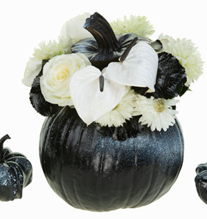 A glossy black pumpkin, splashes of white, and fresh white blooms.