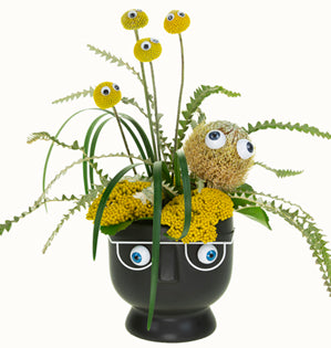 Black vase with face design containing green plants and yellow flowers on a white background