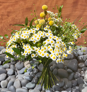A sweet wildflower hand-tied bouquet with chamomile in an easygoing garden style.