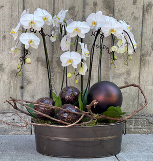 Decorative planter with white orchids, dark spheres, and greenery on a wooden surface.
