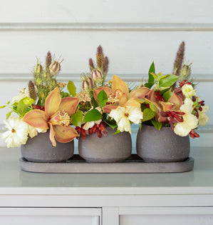 Three gray ceramic pots arranged in a row on a matching tray, filled with a floral arrangement featuring peach orchids, cream flowers, green foliage, and dried grasses, set against a light gray paneled background.