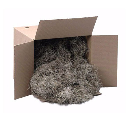 Dried Spanish Moss Natural